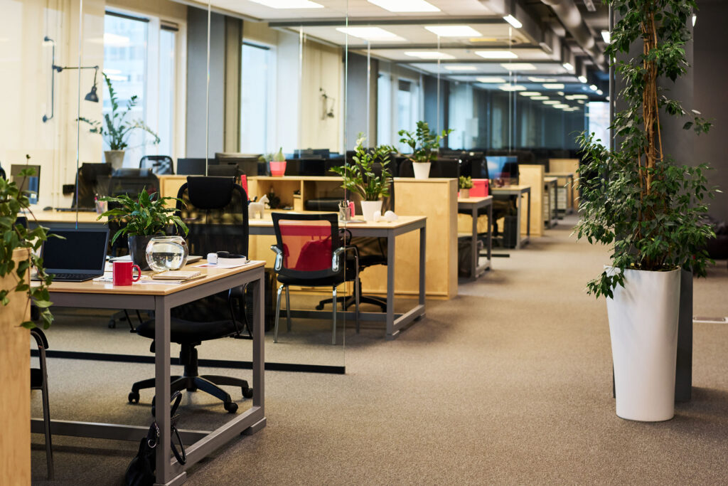 Open-plan office with rows of workstations and tall indoor plants beside large windows.