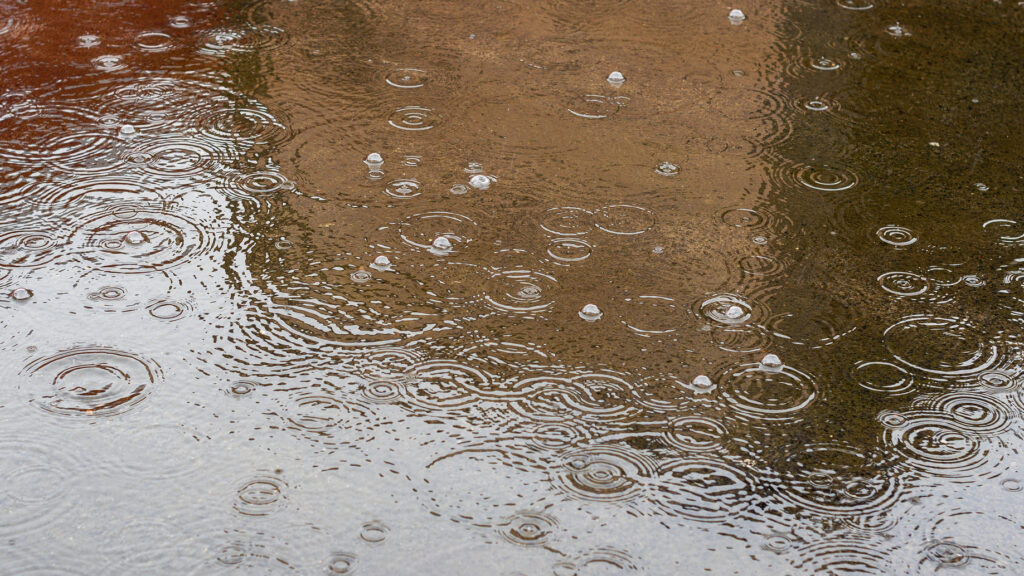 Rain falling onto wet pavement and shallow standing water.